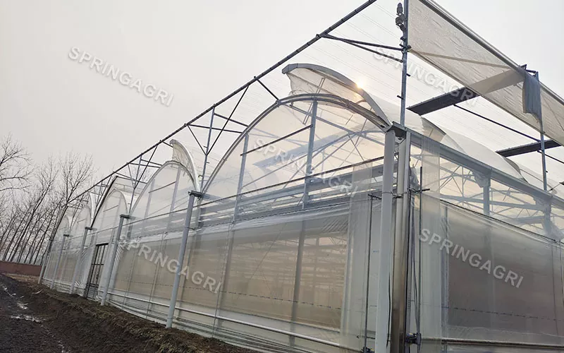 Skleník průhledné fólie 150 Micros PO