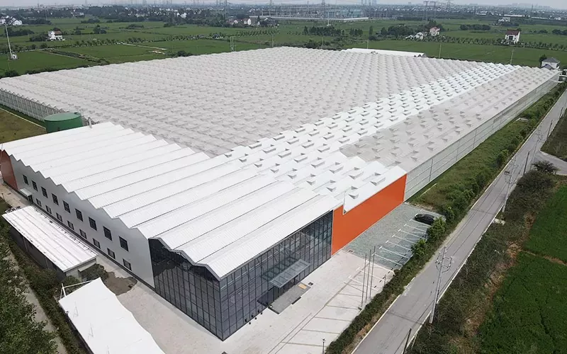 Výhody multispan skla skleníku