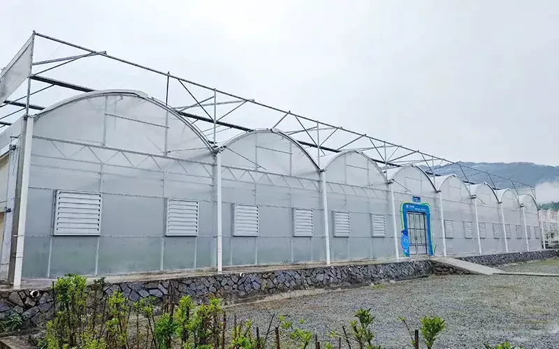 Technologická transformace plastových skleníků: tajná zbraň pro zdvojnásobení výnosů