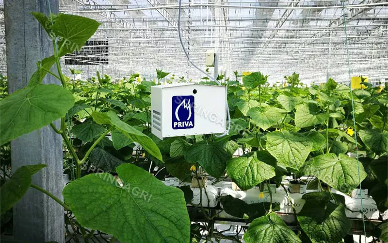 Inteligentní zemědělství přizpůsobené skleníkové řešení